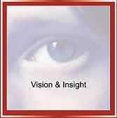 Vision & Insight
